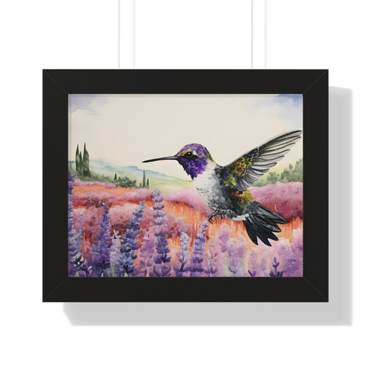 Threaded Wings: A humming's birds dance in a lavender field (Series 1)