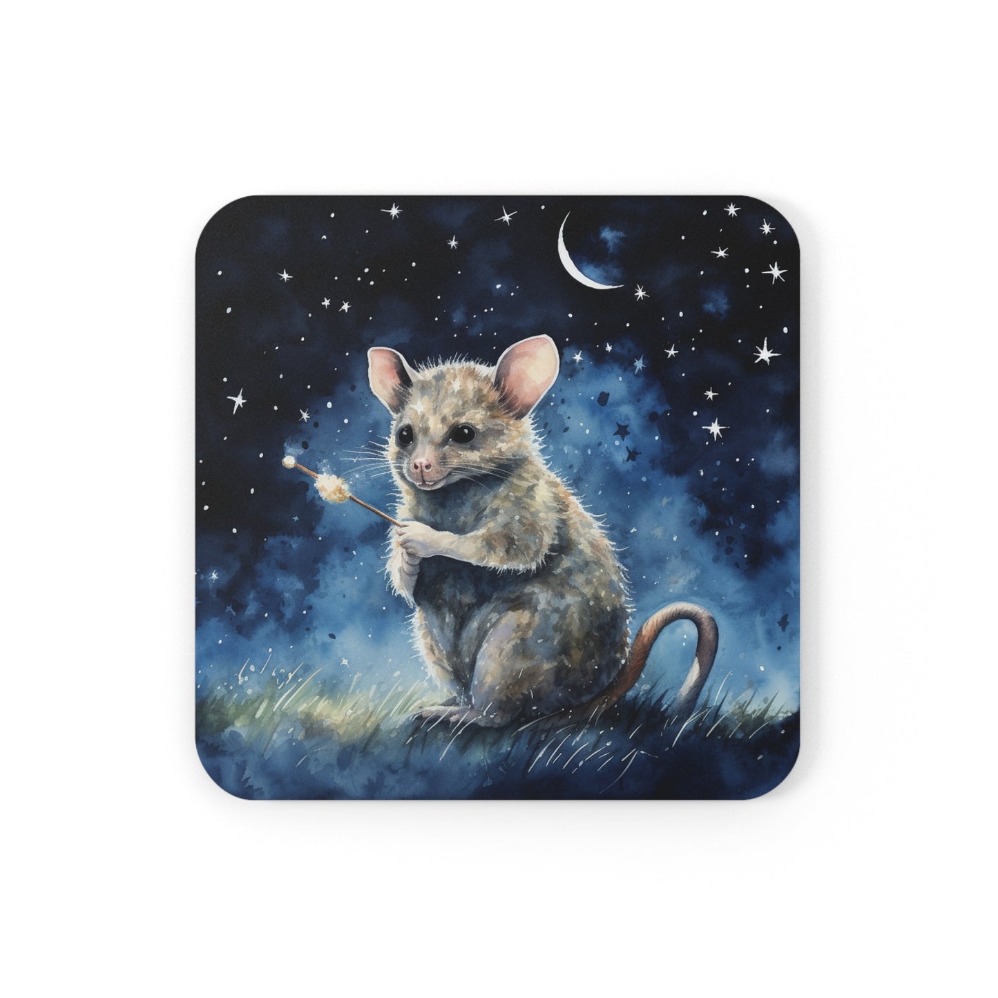 Nighttime Possum Coaster Set (Series 11)
